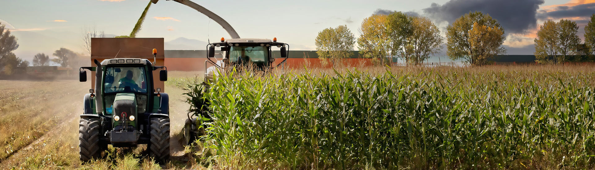 Landwirtschaftliche Inhaltsversicherung