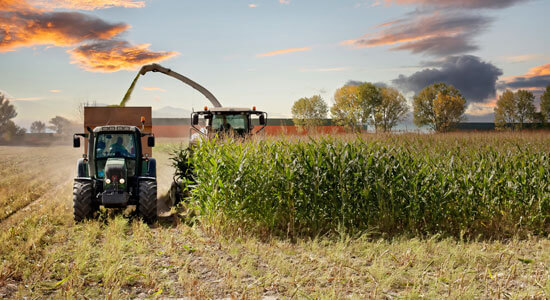 Teaser Landwirtschaftliche Inhaltsversicherung